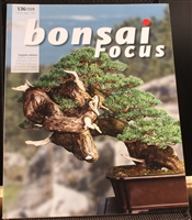 Bonsai Focus