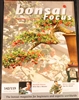 Bonsai Focus