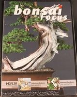 Bonsai Focus