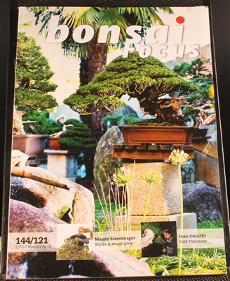 Bonsai Focus