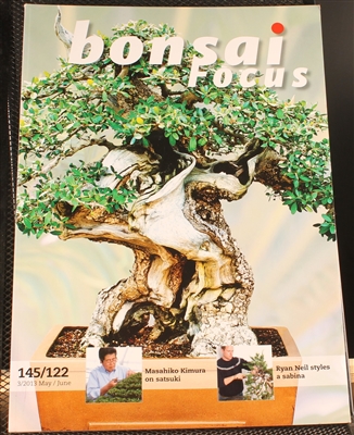 Bonsai Focus