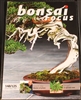 Bonsai Focus