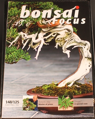 Bonsai Focus