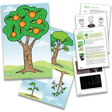 'How to Grow a Brain' Poster and Lesson Bundle