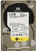 Western Digital WD3001FYYG