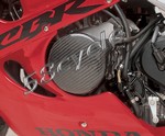 1996-1999 Honda CBR900RR Carbon Fiber Stator Cover