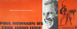 Cool Hand Luke Original US Banner
Vintage Movie Poster
Paul Newman
