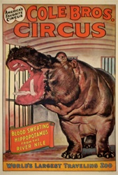 Original Circus Poster Cole Brothers
