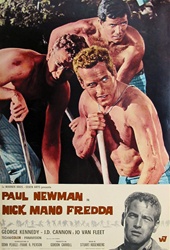 Cool Hand Luke Original Italian Photobusta
Vintage Movie Poster
Paul Newman