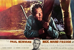 Cool Hand Luke Original Italian Photobusta
Vintage Movie Poster
Paul Newman