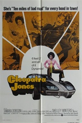 Cleopatra Jones Original US One Sheet
Vintage Movie Poster
Tamara Dobson