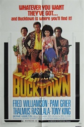 Bucktown Original US One Sheet
Vintage Movie Poster
Fred Williamson