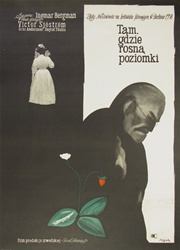 Polish Movie Poster Wild Strawberries
Vintage Movie Poster
Bergman