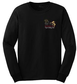 Diamond City Embroidered Long Sleeve Tee