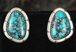 MARY MARIE LINCOLN WEBBED TURQUOISE EARRINGS