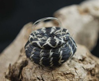 MINIATURE PAPAGO HORSEHAIR BASKET