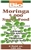 Liquid Moringa Super Food 4 oz. - Bio Nutrition