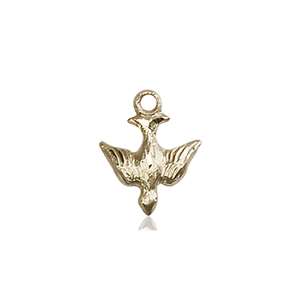 0208KT <br/>14kt Gold Holy Spirit Medal