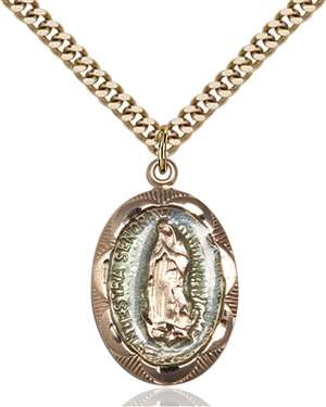 0801EFGF/24G <br/>Gold Filled O/L of Guadalupe Pendant