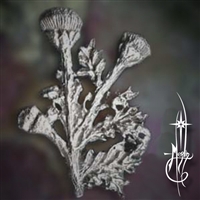 Thistle Brooch