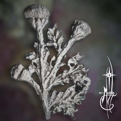 Thistle Brooch