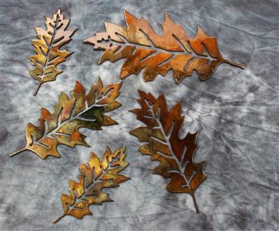 Veined Oak Leaves 5