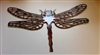 Dragonfly Metal Wall Art