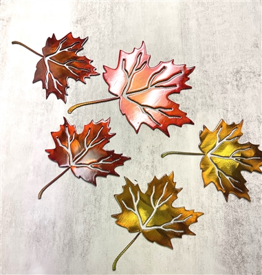 Maple Leaf Set of 5 fall colored