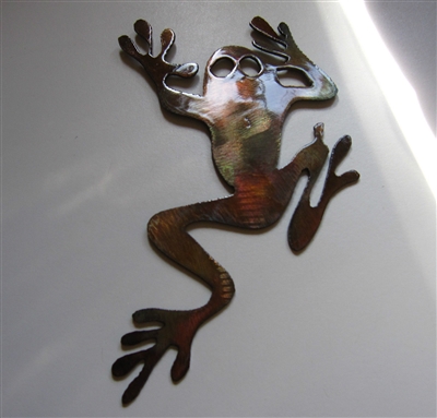 Rainforest Tree Frog Metal Wall Art