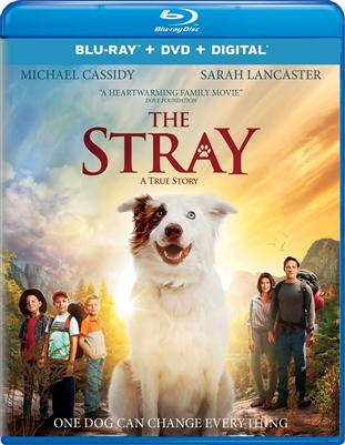 Stray 01/18 Blu-ray (Rental)