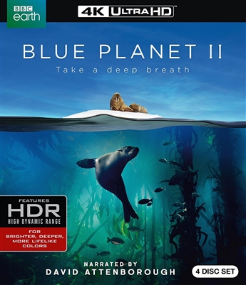 Blue Planet II Disc 1 4K UHD Blu-ray (Rental)