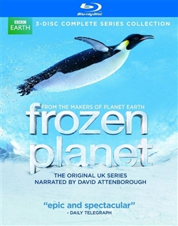 Frozen Planet Disc 1 Blu-ray (Rental)