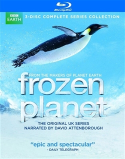 Frozen Planet Disc 2 Blu-ray (Rental)