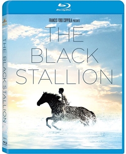 Black Stallion Blu-ray (Rental)