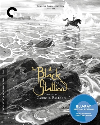 Black Stallion 07/15 Blu-ray (Rental)
