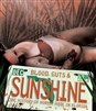 Blood, Guts and Sunshine 10/23 Blu-ray (Rental)