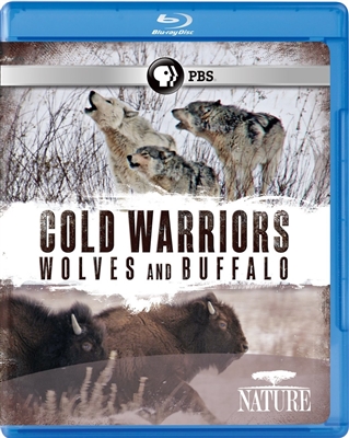 Cold Warriors: Wolves and Buffalo 07/15 Blu-ray (Rental)