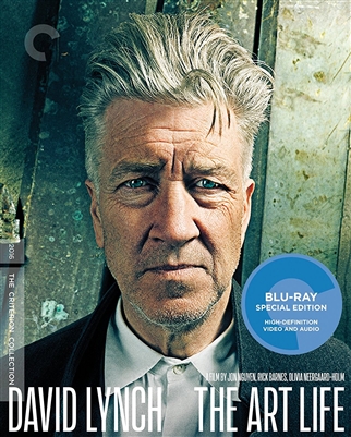 David Lynch: The Art Life Blu-ray (Rental)