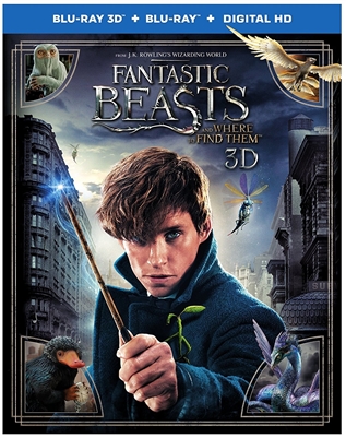 Fantastic Beasts and Where to Find Them 3D Blu-ray (Rental)