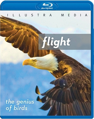 Flight: The Genius of Birds 10/14 Blu-ray (Rental)