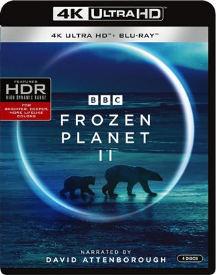 Frozen Planet II Disc 1 4K UHD Blu-ray (Rental)