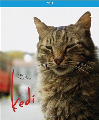 Kedi 11/17 Blu-ray (Rental)