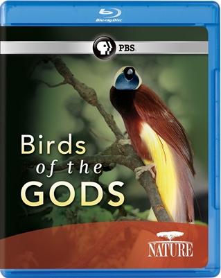 Nature: Birds of the Gods 10/14 Blu-ray (Rental)