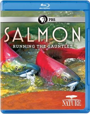 Salmon 06/15 Blu-ray (Rental)