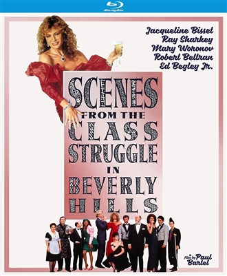 Scenes from the Class Struggle in Beverly Hills 04/20 Blu-ray (Rental)