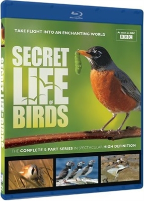 Secret Life of Birds 01/15 Blu-ray (Rental)