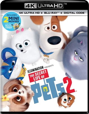 Secret Life of Pets 2 4K UHD 07/19 Blu-ray (Rental)