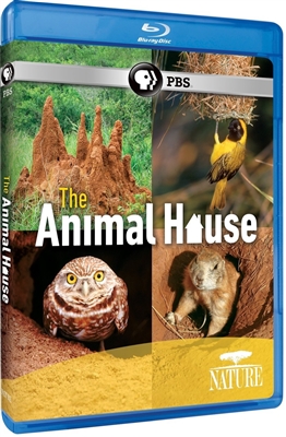 Animal House 06/15 Blu-ray (Rental)