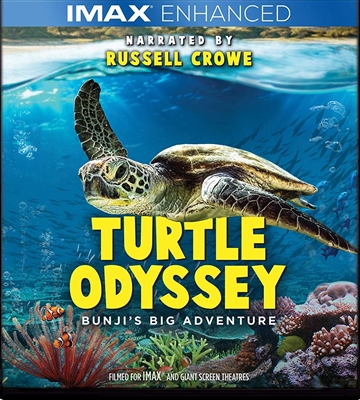 Turtle Odyssey 10/19 Blu-ray (Rental)