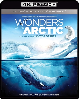 Wonders Of The Arctic 3D Blu-ray (Rental)
